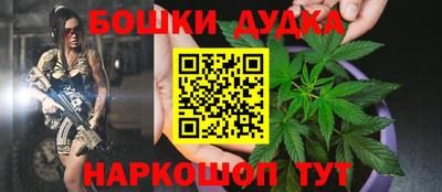 твердый Бийск