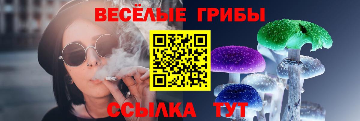 Галлюциногенные грибы GOLDEN TEACHER Гусев