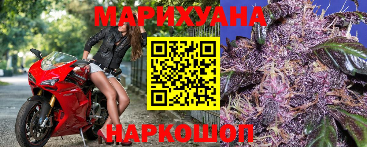 Бошки Шишки Гусев
